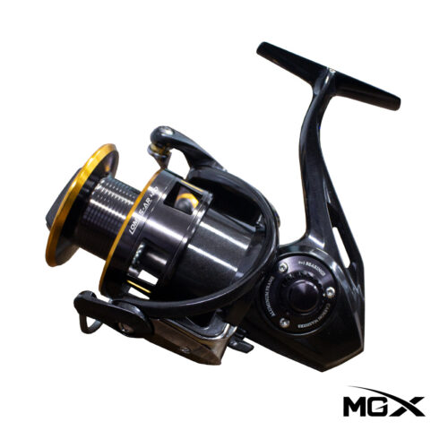 CARRETE LOMAS AE 4.0 WEB ANTIGUA