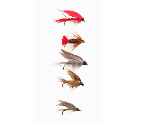 FORRESTER FLY Wet Flies 1