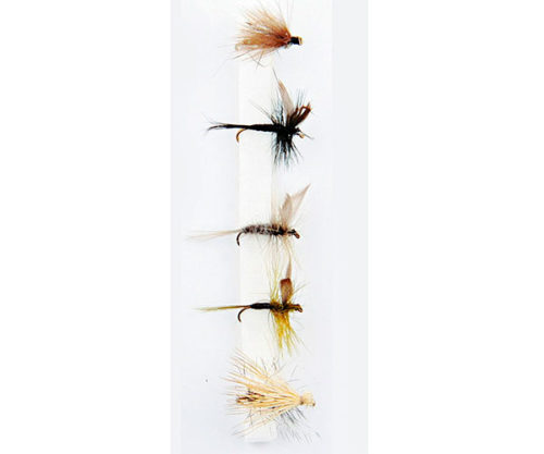 FORRESTER FLY small river dry 1