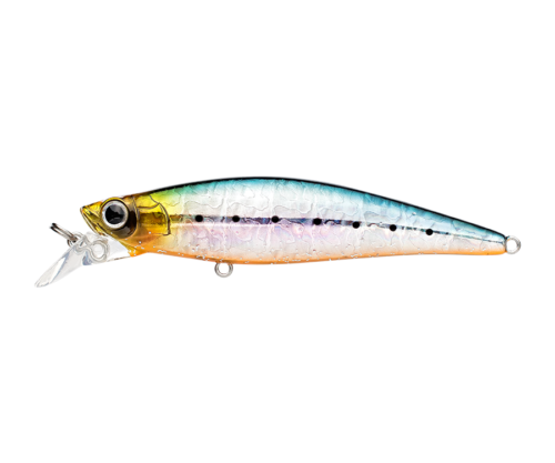 Natural-Sardine-1.png Natural Sardine 1
