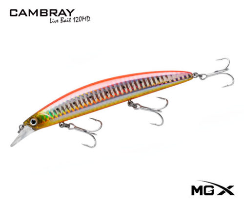 mgx cambray 120md New Orange Sardine