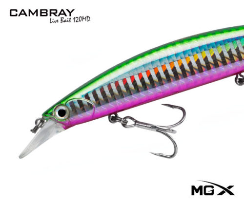 mgx cambray 120md Shinner Pink Belly2