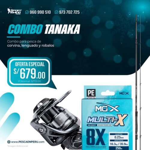 10 combo de spinning tanaka