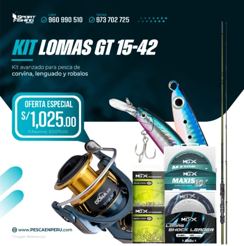 KIT LOMAS GT 15 42